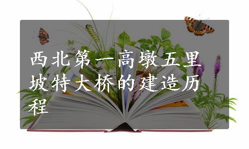 西北第一高墩五里坡特大桥的建造历程