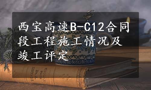 西宝高速B-C12合同段工程施工情况及竣工评定