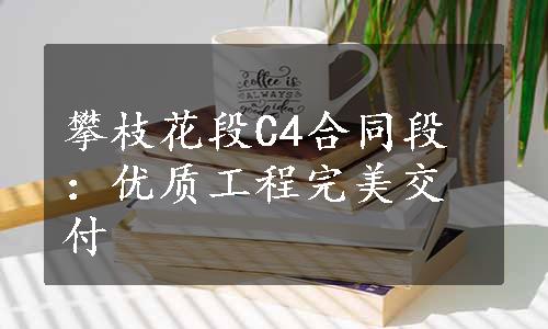 攀枝花段C4合同段：优质工程完美交付