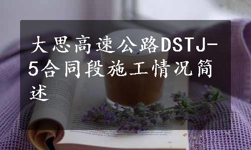 大思高速公路DSTJ-5合同段施工情况简述