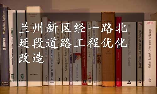 兰州新区经一路北延段道路工程优化改造