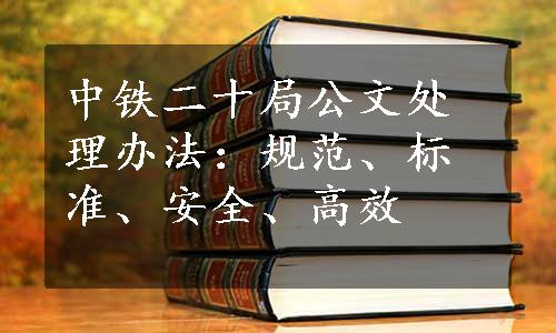 中铁二十局公文处理办法：规范、标准、安全、高效