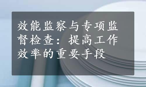 效能监察与专项监督检查：提高工作效率的重要手段