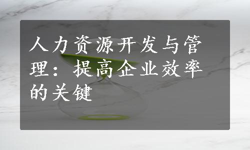 人力资源开发与管理：提高企业效率的关键