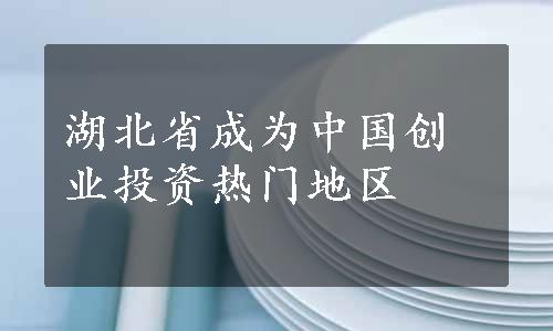 湖北省成为中国创业投资热门地区