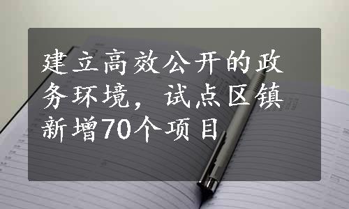 建立高效公开的政务环境，试点区镇新增70个项目