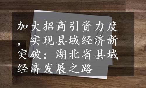 加大招商引资力度，实现县域经济新突破：湖北省县域经济发展之路