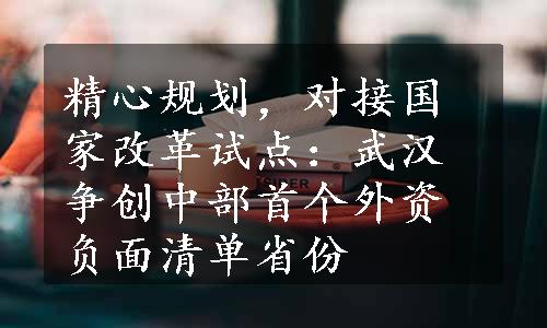 精心规划，对接国家改革试点：武汉争创中部首个外资负面清单省份