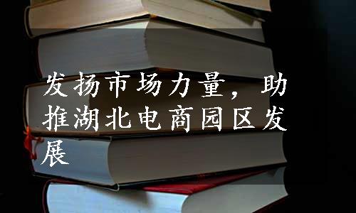 发扬市场力量，助推湖北电商园区发展