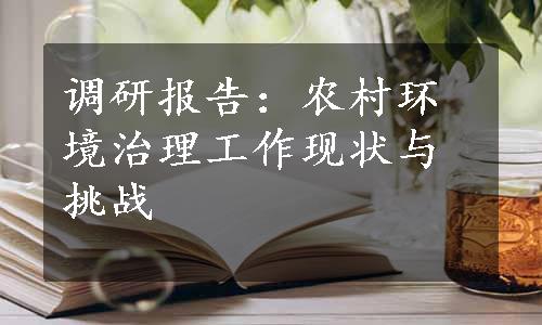 调研报告：农村环境治理工作现状与挑战