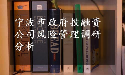 宁波市政府投融资公司风险管理调研分析