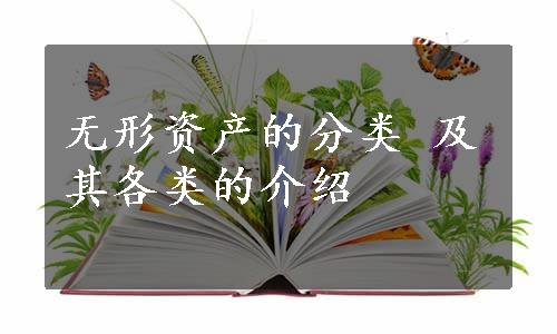 无形资产的分类 及其各类的介绍