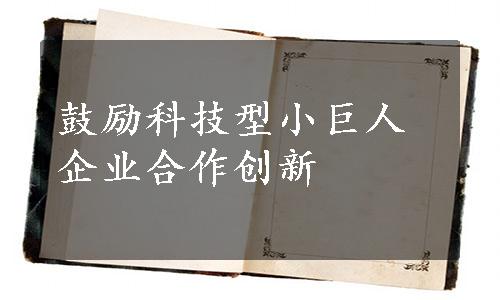 鼓励科技型小巨人企业合作创新