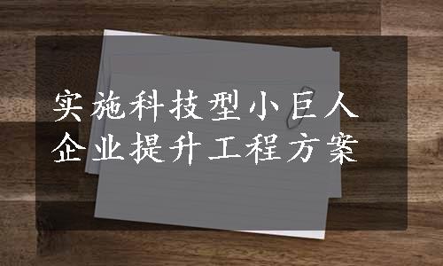 实施科技型小巨人企业提升工程方案