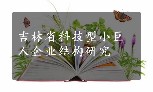 吉林省科技型小巨人企业结构研究