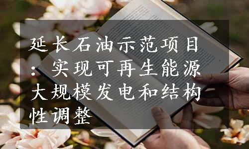 延长石油示范项目：实现可再生能源大规模发电和结构性调整