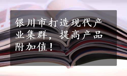 银川市打造现代产业集群，提高产品附加值！