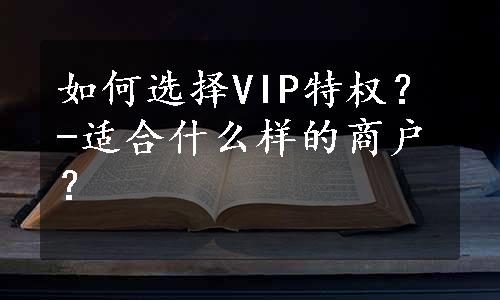 如何选择VIP特权？-适合什么样的商户？