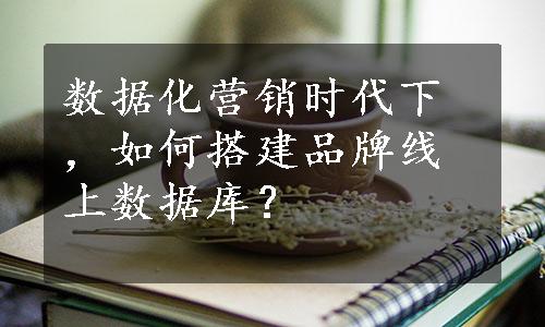 数据化营销时代下，如何搭建品牌线上数据库？