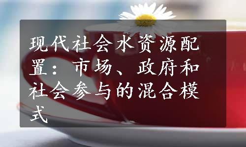 现代社会水资源配置：市场、政府和社会参与的混合模式