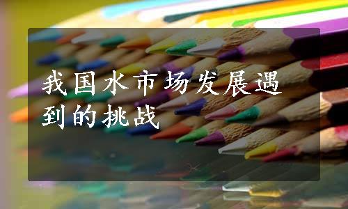 我国水市场发展遇到的挑战