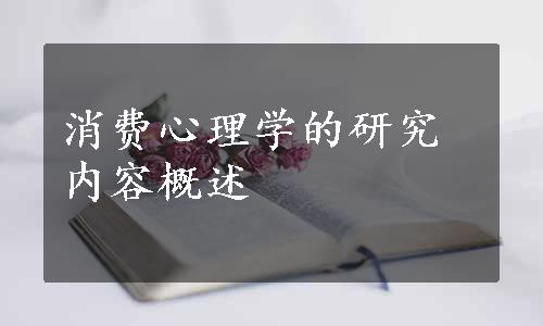 消费心理学的研究内容概述