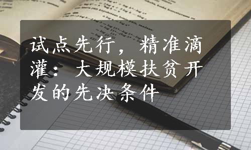 试点先行，精准滴灌：大规模扶贫开发的先决条件