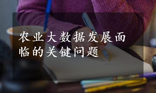 农业大数据发展面临的关键问题