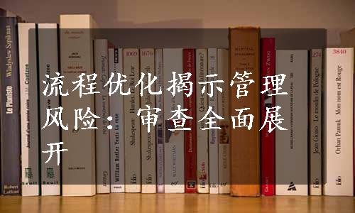 流程优化揭示管理风险：审查全面展开