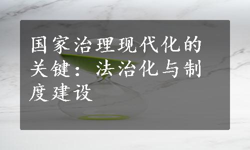 国家治理现代化的关键：法治化与制度建设