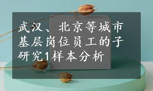 武汉、北京等城市基层岗位员工的子研究1样本分析