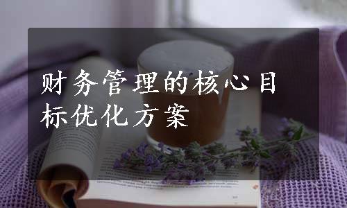 财务管理的核心目标优化方案