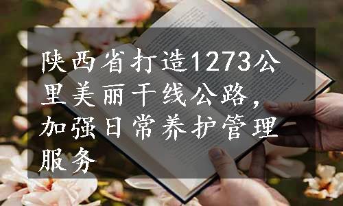 陕西省打造1273公里美丽干线公路，加强日常养护管理服务