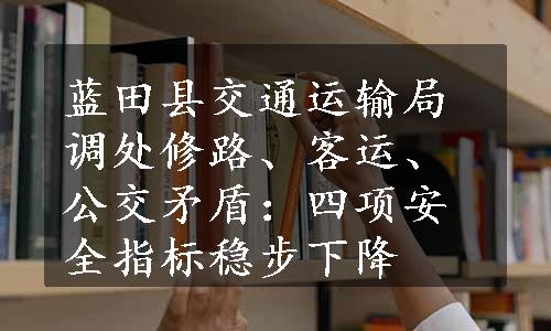 蓝田县交通运输局调处修路、客运、公交矛盾：四项安全指标稳步下降