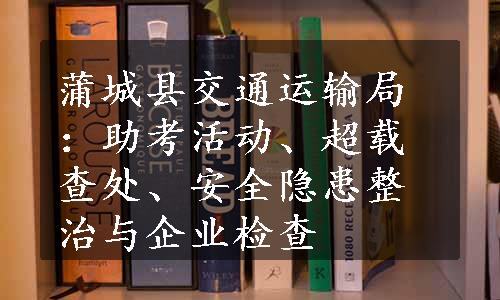 蒲城县交通运输局：助考活动、超载查处、安全隐患整治与企业检查