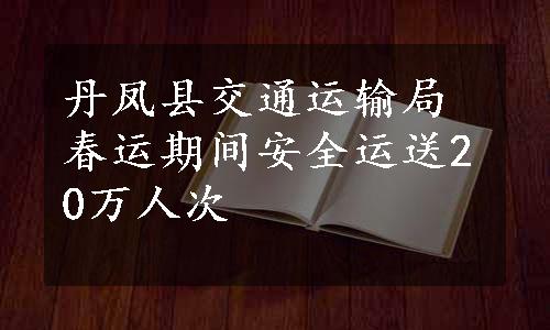 丹凤县交通运输局春运期间安全运送20万人次