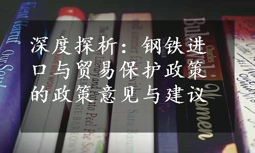 深度探析：钢铁进口与贸易保护政策的政策意见与建议