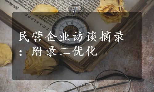 民营企业访谈摘录：附录二优化