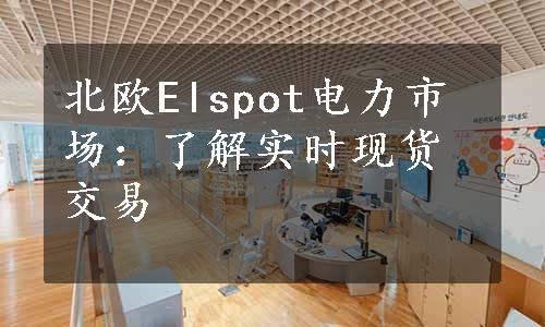 北欧Elspot电力市场：了解实时现货交易