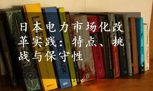 日本电力市场化改革实践：特点、挑战与保守性