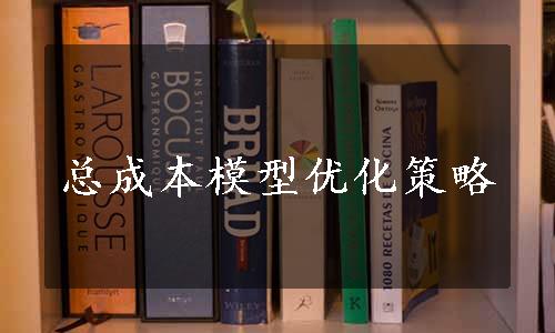 总成本模型优化策略