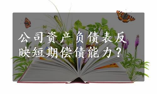 公司资产负债表反映短期偿债能力？