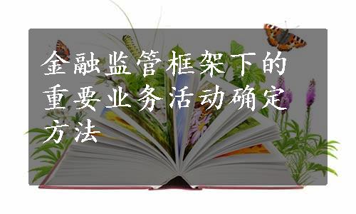 金融监管框架下的重要业务活动确定方法