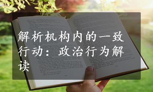 解析机构内的一致行动：政治行为解读