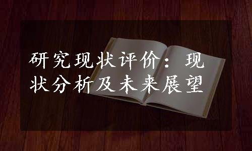 研究现状评价：现状分析及未来展望