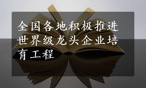 全国各地积极推进世界级龙头企业培育工程