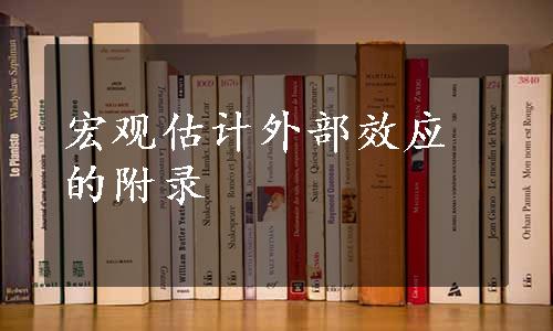 宏观估计外部效应的附录