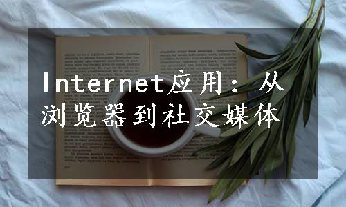 Internet应用：从浏览器到社交媒体