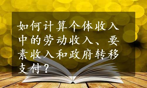 如何计算个体收入中的劳动收入、要素收入和政府转移支付？