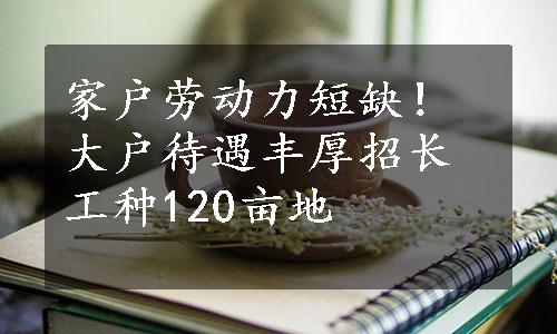 家户劳动力短缺！大户待遇丰厚招长工种120亩地